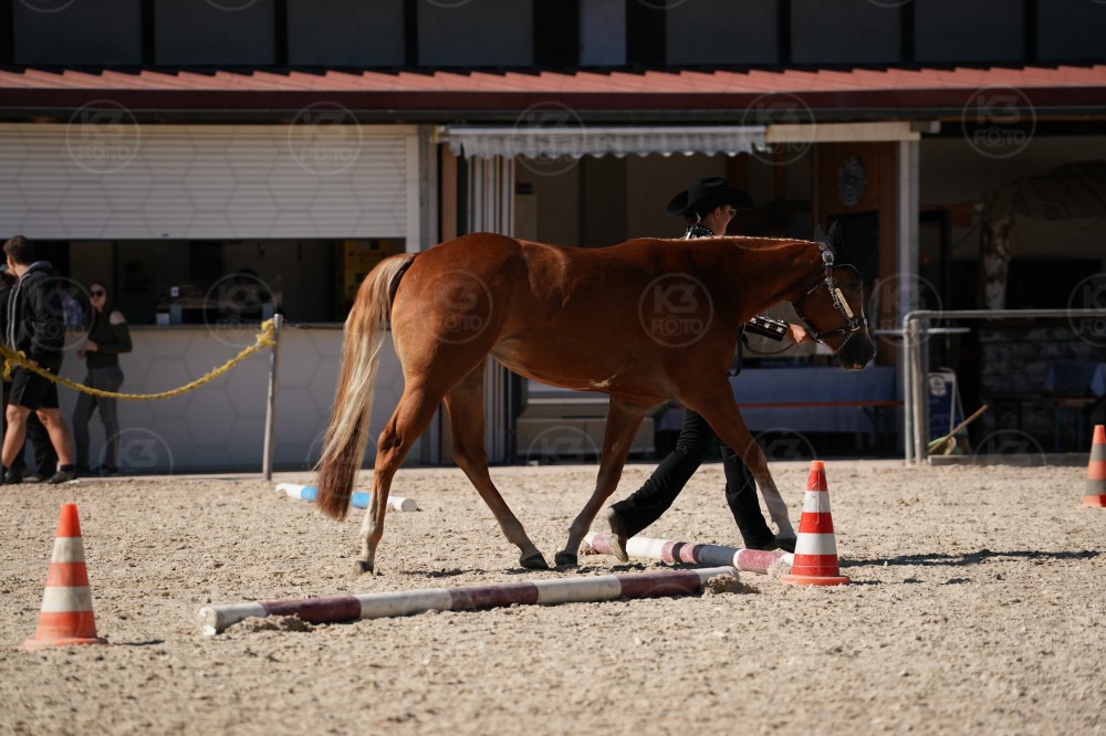 s_A_907727.JPG